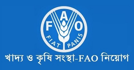 FAO Job Circular